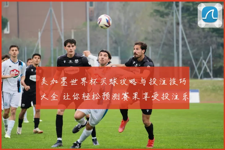 美加墨世界杯买球攻略与投注技巧大全 让你轻松预测赛果享受投注乐趣
