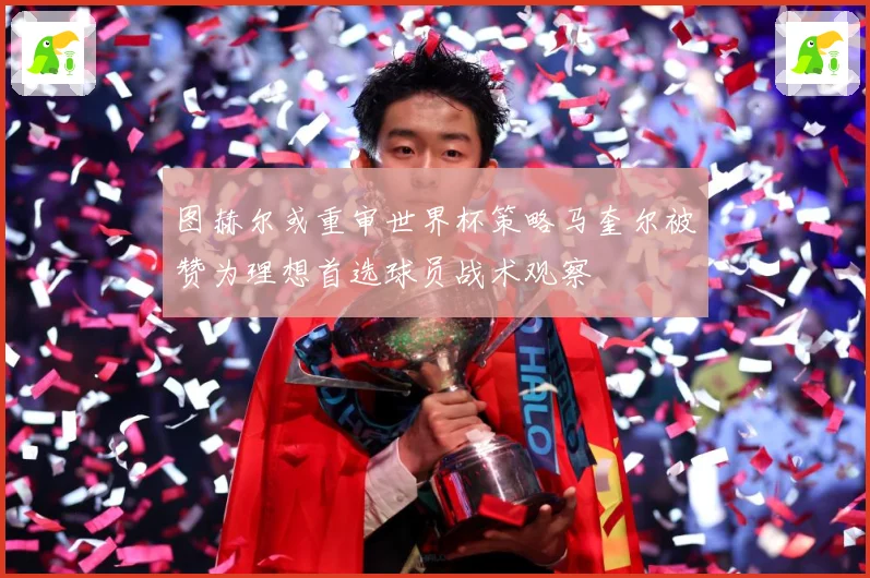 图赫尔或重审世界杯策略马奎尔被赞为理想首选球员战术观察