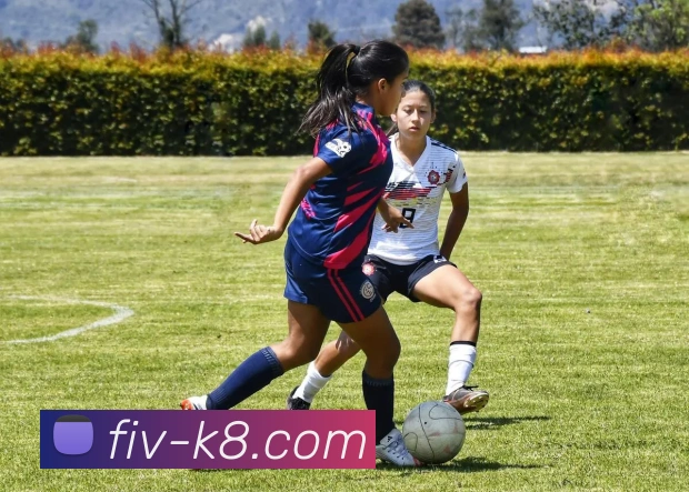 凯发足球投注平台全面解析与优势探讨，助力玩家精准决策与高效投注策略